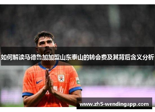 如何解读马德鲁加加盟山东泰山的转会费及其背后含义分析