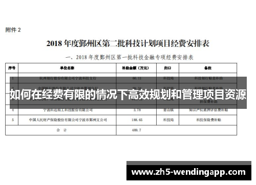 如何在经费有限的情况下高效规划和管理项目资源