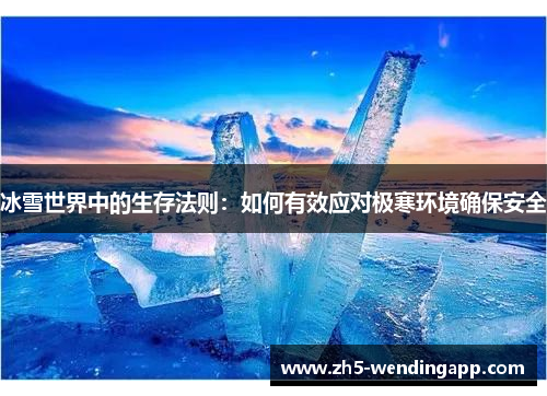 冰雪世界中的生存法则：如何有效应对极寒环境确保安全